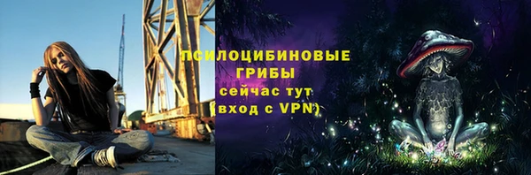 мдпв Верея