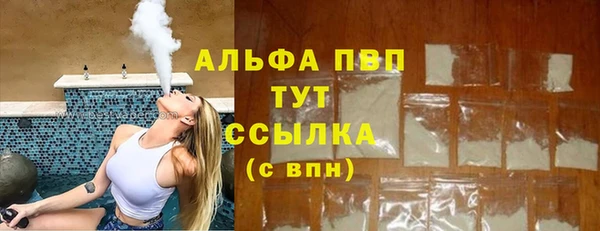 мдпв Верея