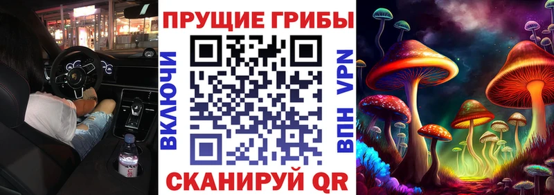 дарнет шоп  Гремячинск  Псилоцибиновые грибы Cubensis 